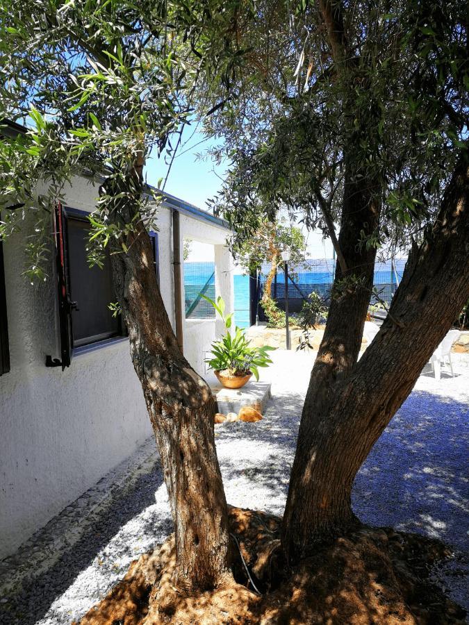 Villa La Plaja Cefalù Esterno foto